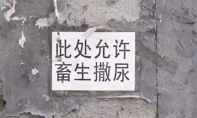 135d70594e1f8d 135d70594e1f8d