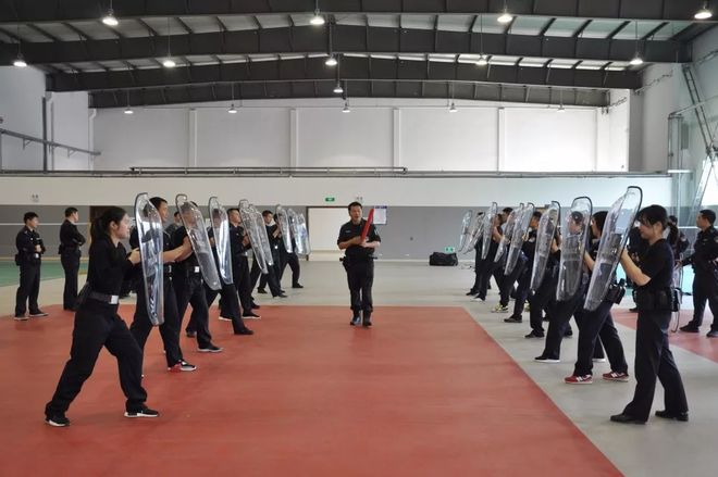 unnamed-file-23 unnamed-file-23