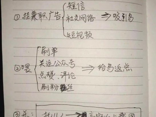 “杀猪盘”“杀鸟盘”“杀鱼盘”……快看！骗子“工作笔记”曝光了！